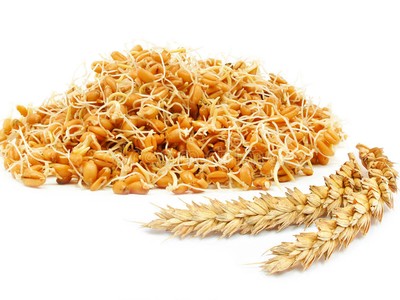 Пророщенная пшеница