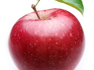 Яблоко