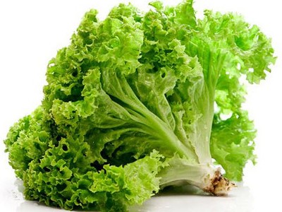 Салат-латук