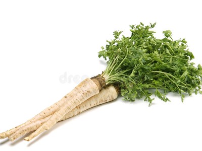 Корень петрушки сушеный